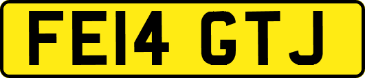 FE14GTJ