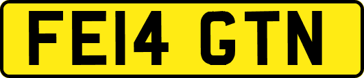 FE14GTN