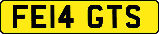 FE14GTS