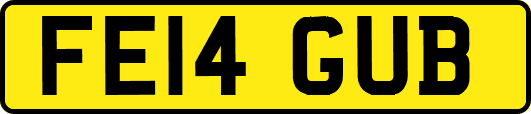 FE14GUB