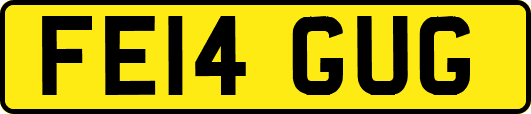 FE14GUG