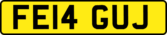 FE14GUJ