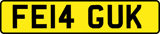 FE14GUK