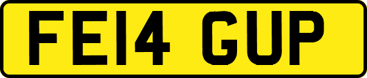 FE14GUP