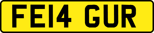 FE14GUR