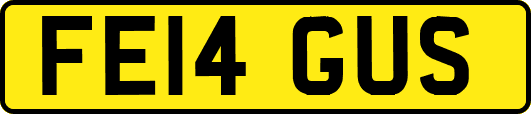 FE14GUS