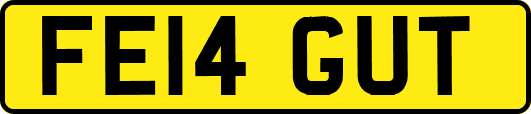 FE14GUT