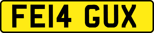 FE14GUX