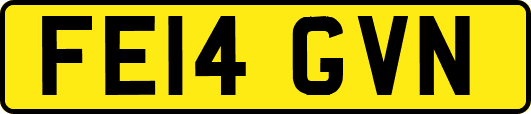 FE14GVN