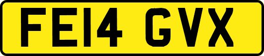 FE14GVX