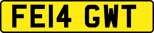 FE14GWT