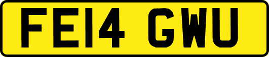 FE14GWU