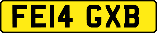 FE14GXB