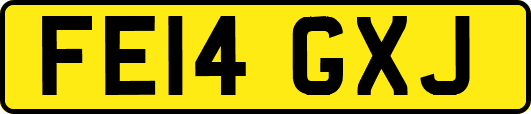 FE14GXJ