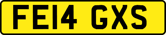 FE14GXS