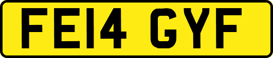 FE14GYF