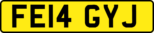 FE14GYJ