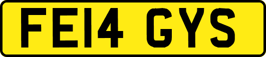 FE14GYS