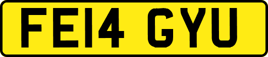 FE14GYU