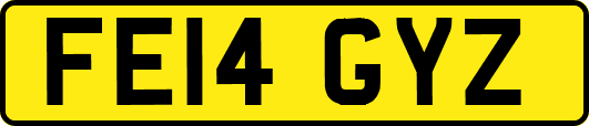 FE14GYZ