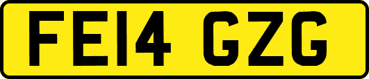 FE14GZG