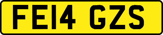 FE14GZS