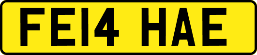 FE14HAE
