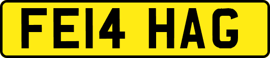 FE14HAG