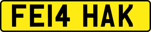 FE14HAK