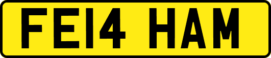 FE14HAM