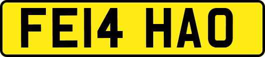 FE14HAO