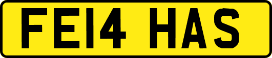 FE14HAS