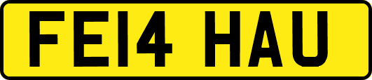FE14HAU