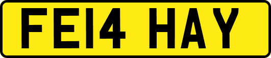 FE14HAY