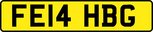 FE14HBG