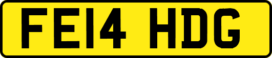 FE14HDG