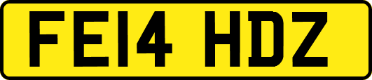 FE14HDZ