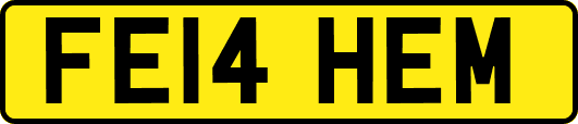 FE14HEM