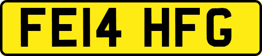 FE14HFG