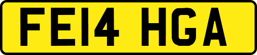 FE14HGA