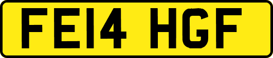 FE14HGF