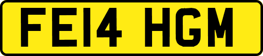 FE14HGM