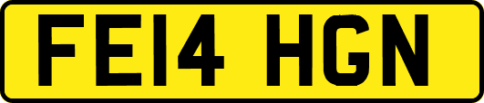 FE14HGN