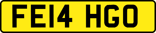 FE14HGO