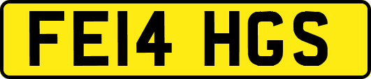 FE14HGS