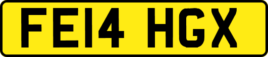 FE14HGX
