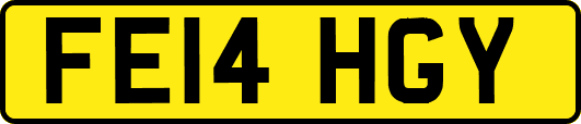 FE14HGY