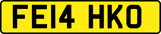FE14HKO