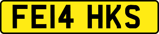 FE14HKS