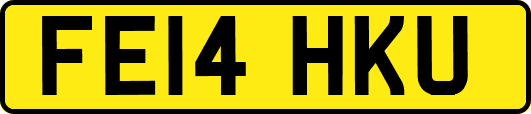 FE14HKU